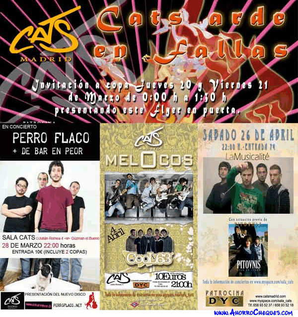 Flyer Cats Madrid 